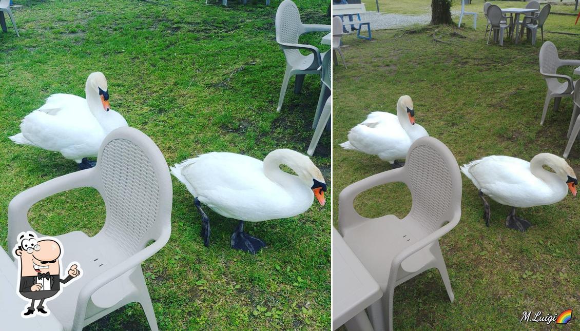 Dai un'occhiata agli interni di Blu Perry Beachbar Minigolf