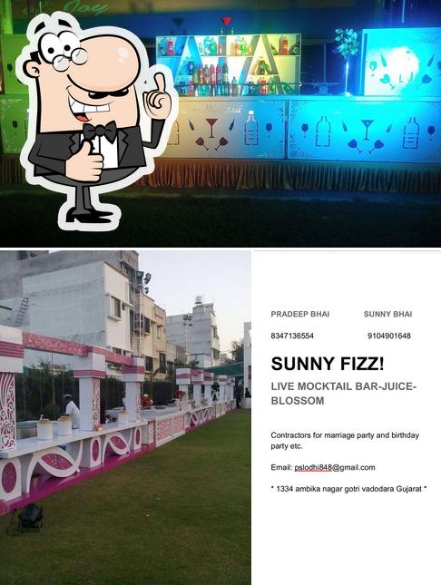 Sunny Fizz Display & Mocktail Bar Vadodara