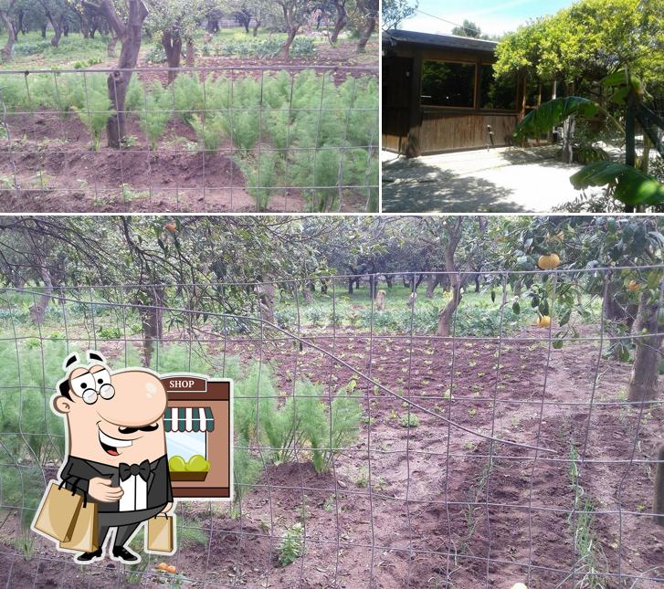 Gli esterni di La Cantina Del Barone
