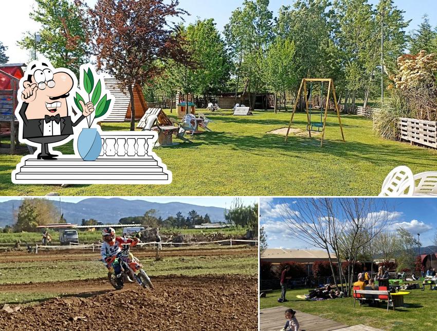 Azienda Agri-turistica Le Palme di Fantozzi Alessandro