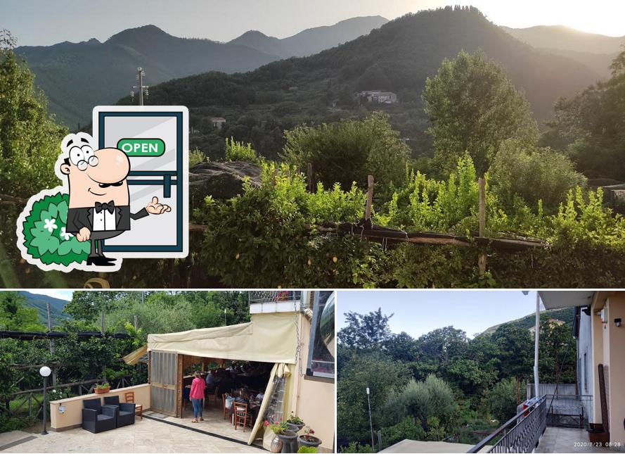 Guarda gli esterni di Agriturismo da Regina -Amalfi Coast