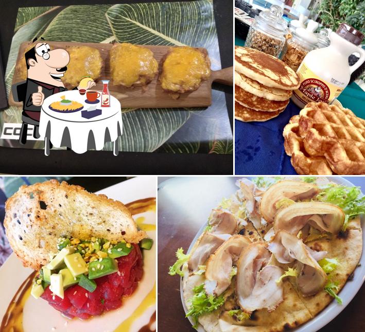 Cocos experience