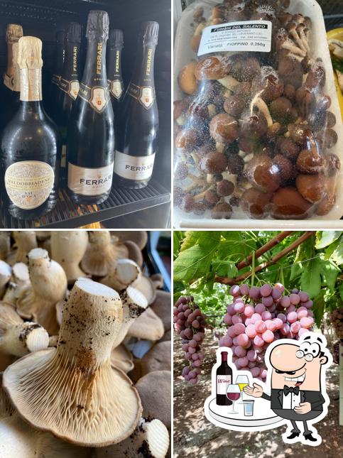 Mela Rossa Frutta & Vini