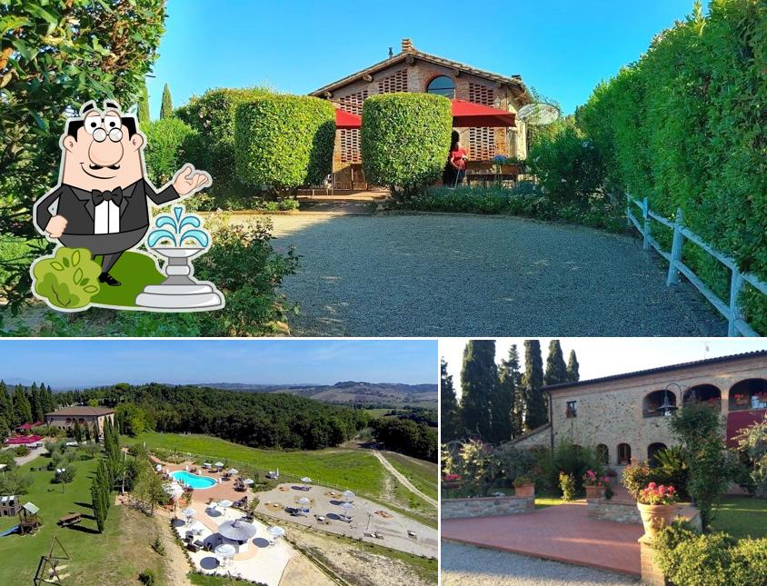 Guarda l'area esterna di La Vallata - Lajatico