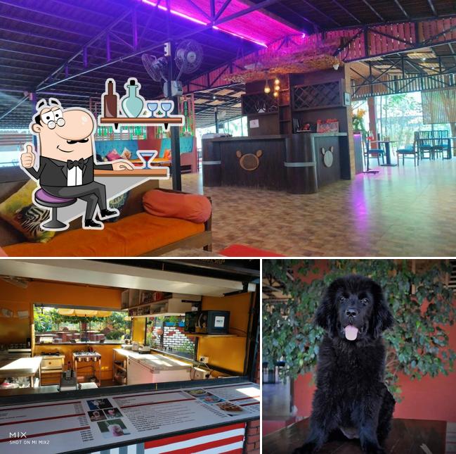The interior of GrandPaw Pet Resort