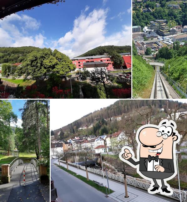Alte Linde