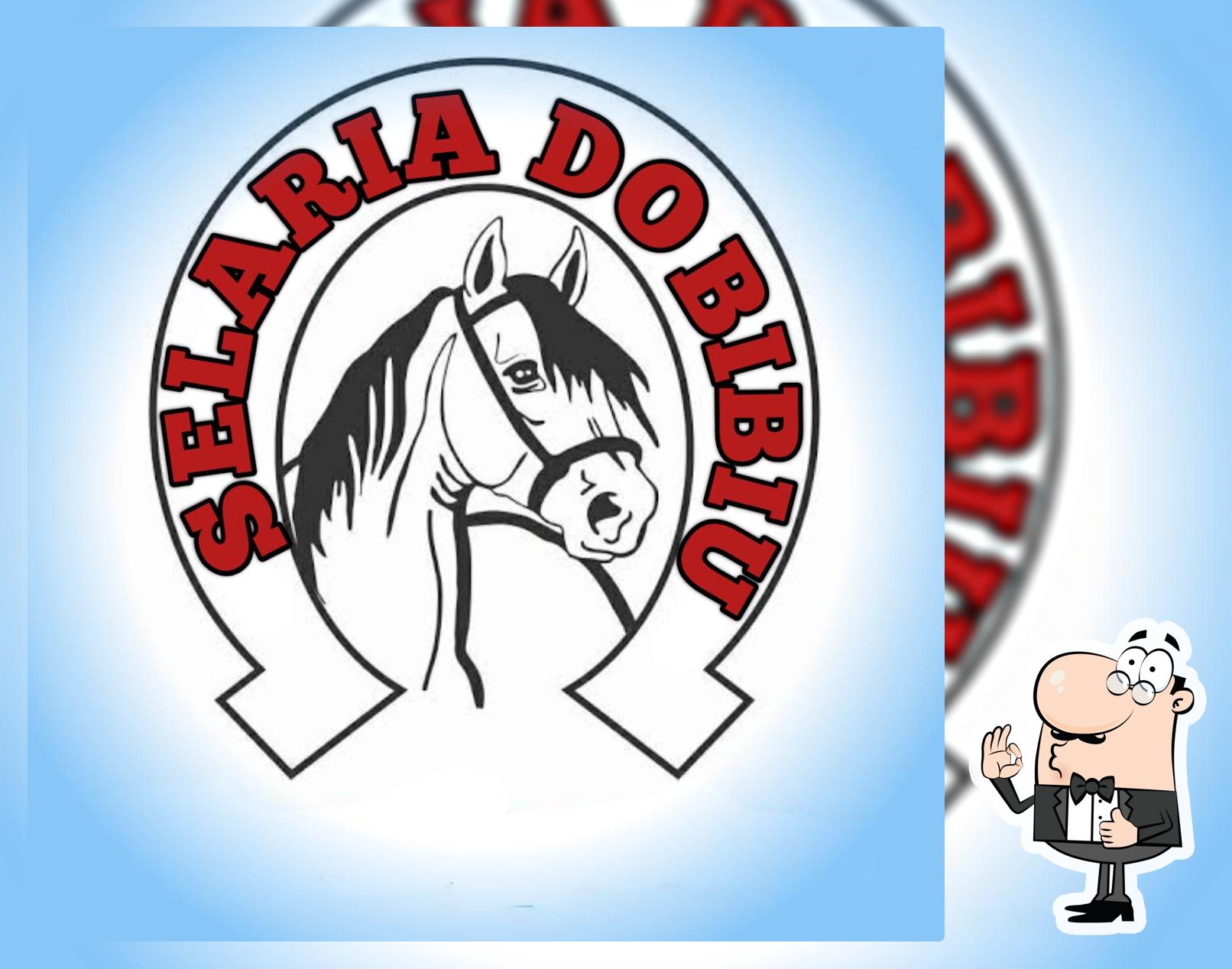 Bar e Selaria do Bibiu