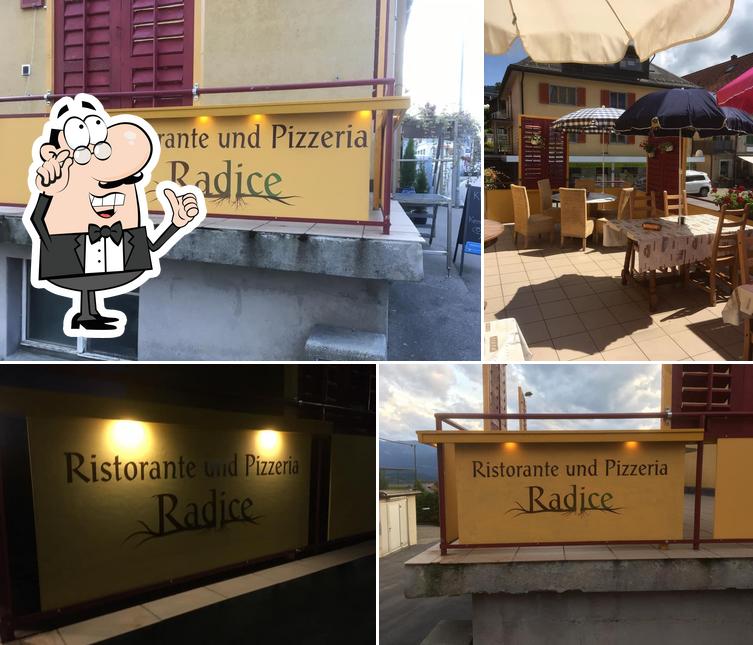 Gli interni di Radice