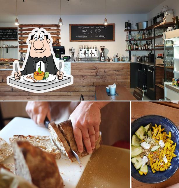 Platti al Yeast Panelab