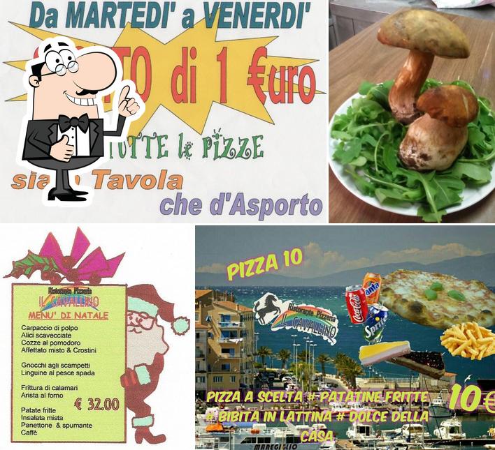 Ristorante Pizzeria Il Cavallino
