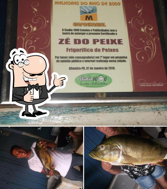 Ponto Do Peixe Certo