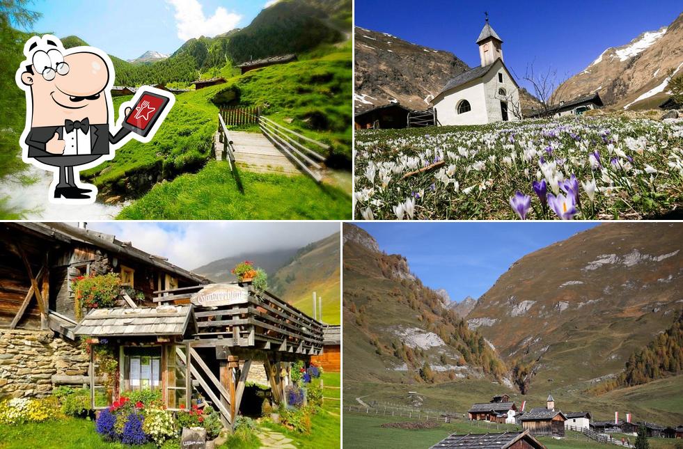 Guarda gli esterni di Gattererhütte Fane Alm