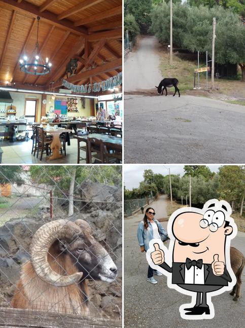 Vedi questa immagine di Il Rustico La Casa degli Ulivi