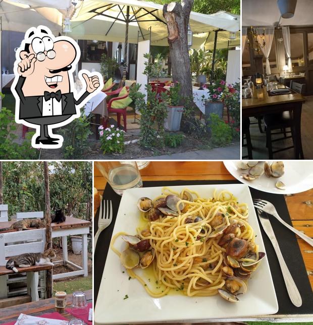 Dai un'occhiata agli interni di Ristorante La Baracca