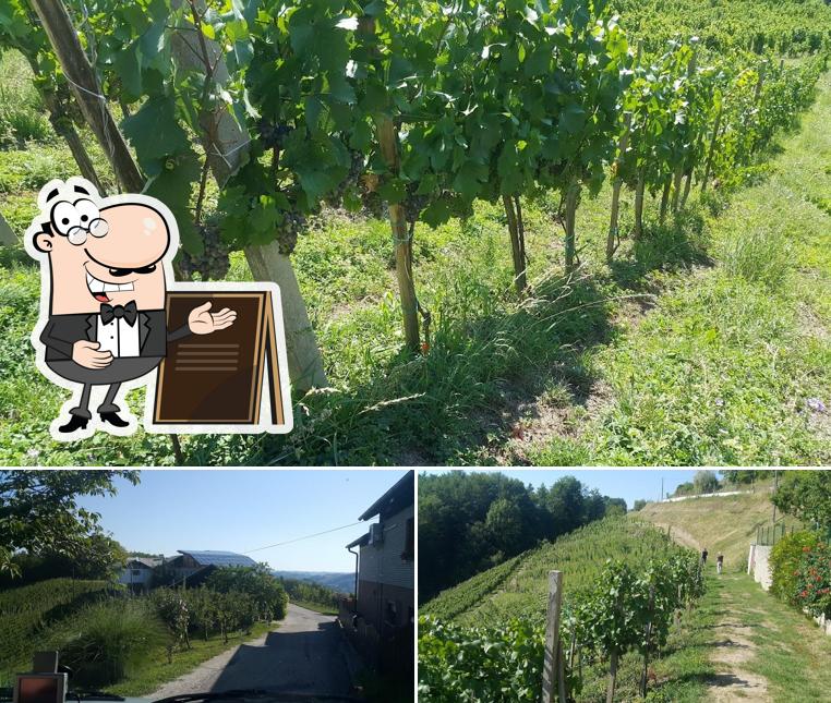 Guarda gli esterni di Brunček Renata s.p. okrepčevalnica