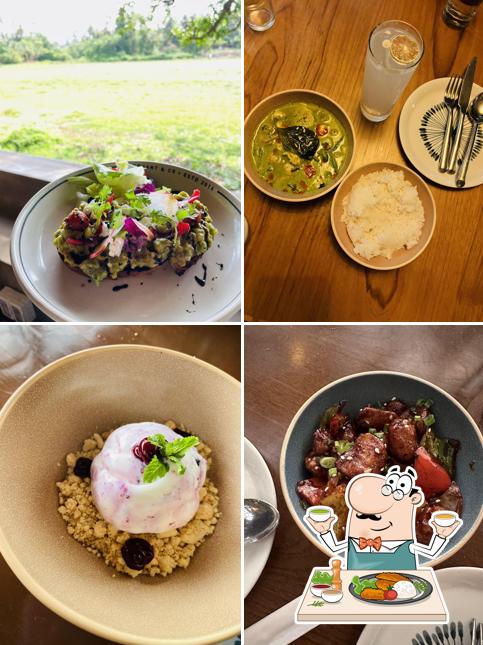 Food at Elephant and Co. Anjuna, Goa