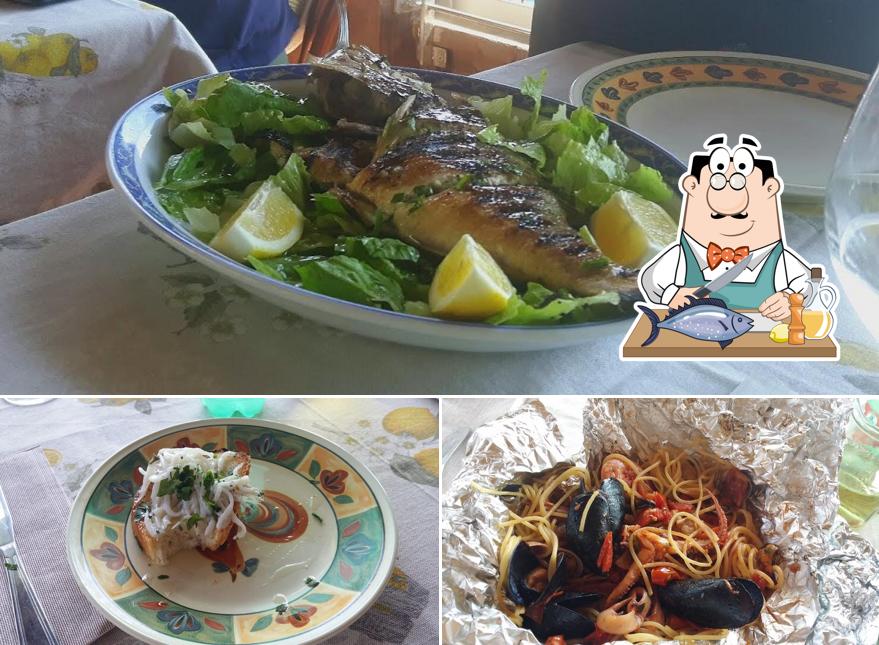 Salmone grigliato al Ottomano