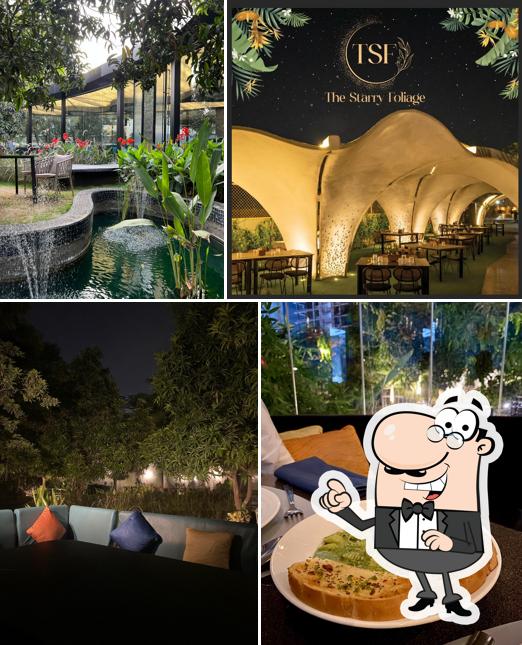 Check out how The Starry Foliage looks inside