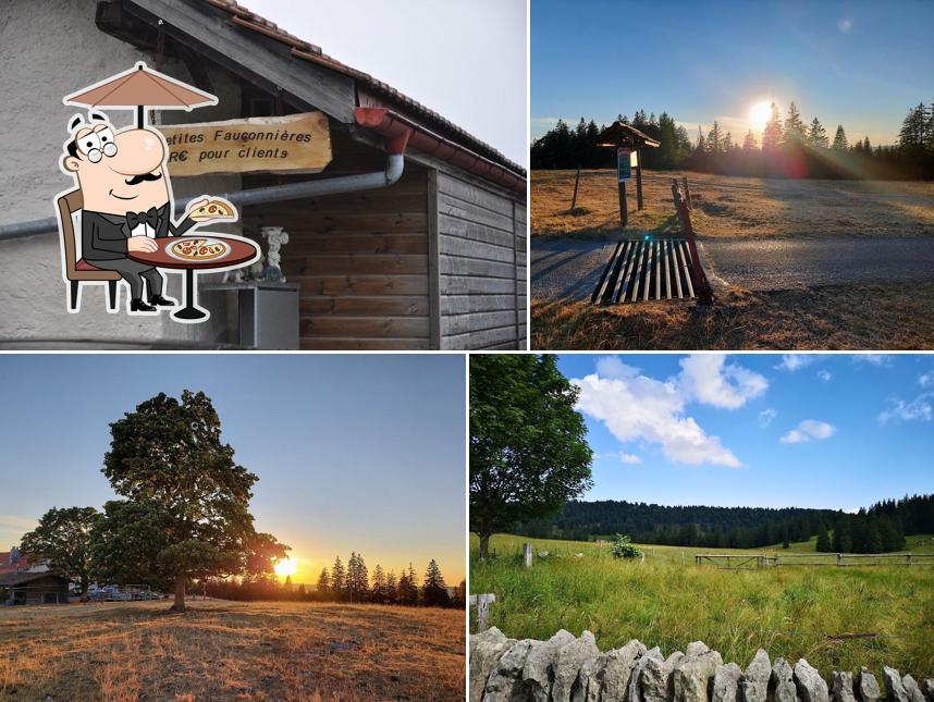 Métairie Les Petites Fauconnières