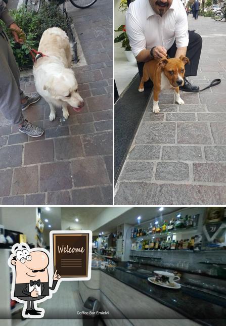 Guarda la immagine di Coffee Bar Emielvi