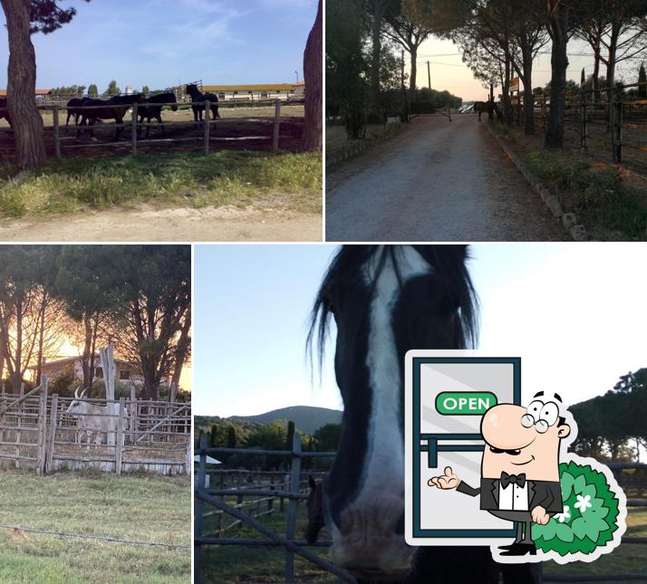 Gli esterni di Agriturismo biologico la Pulledraia
