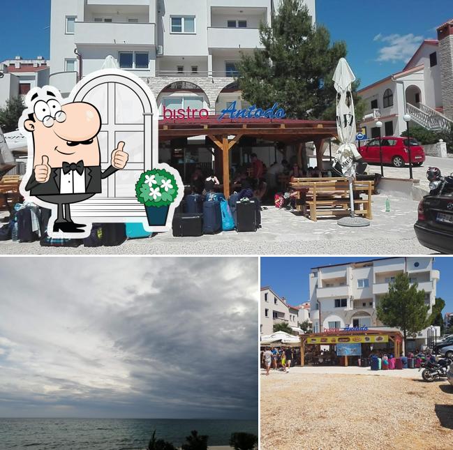 Gli esterni di ANTODO