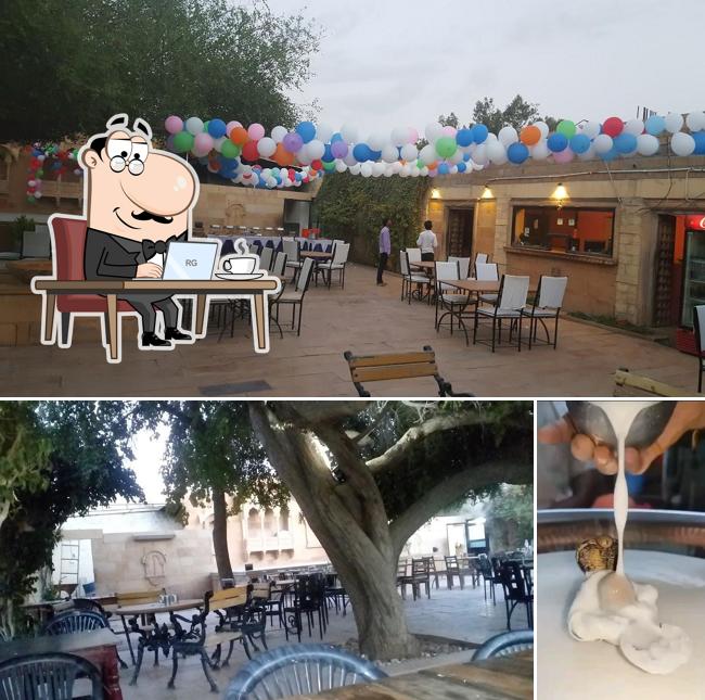 Take a look at the picture depicting interior and food at Desert Boy's Dhani