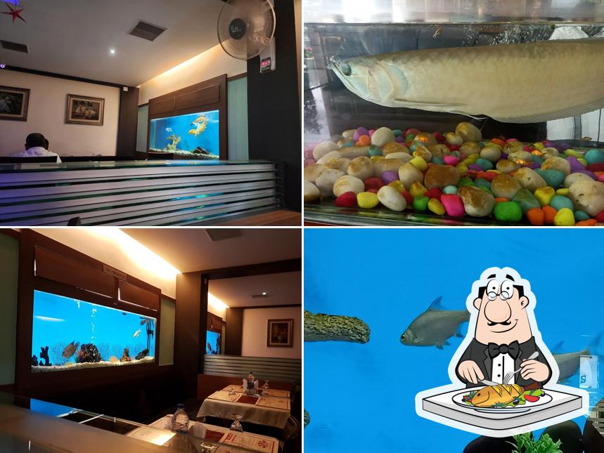 Hamara Hotels & Bar Thrissur provides a menu for fish dish lovers