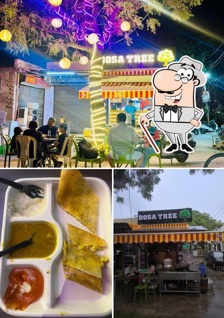Among different things one can find exterior and food at DOSA TREE