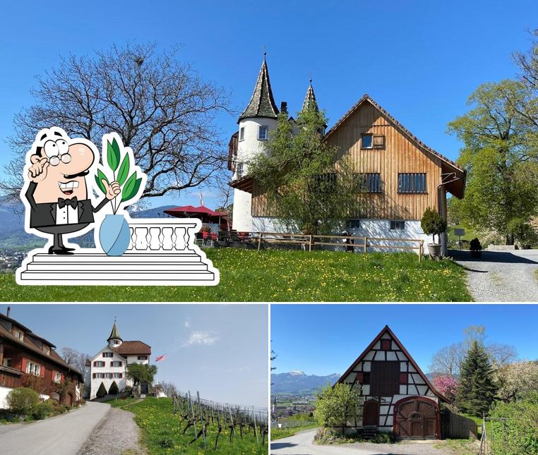 Gli esterni di Schloss Weinstein