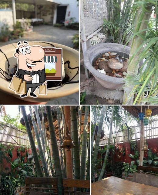 The outside part is an important feature of Pack 'N' Chew