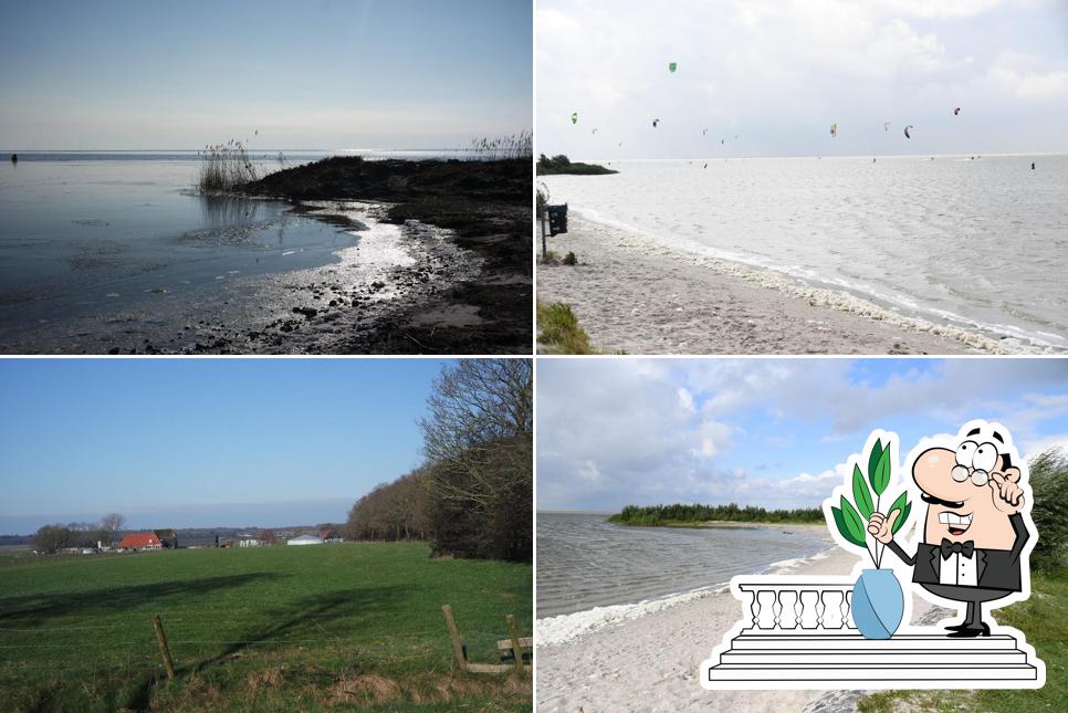 Kitespot