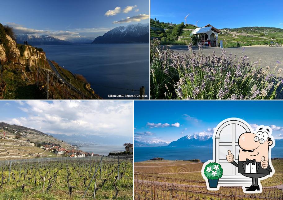Goditi la vista dagli esterni di ''La Chapelle'' Vente de vins Didier Imhof