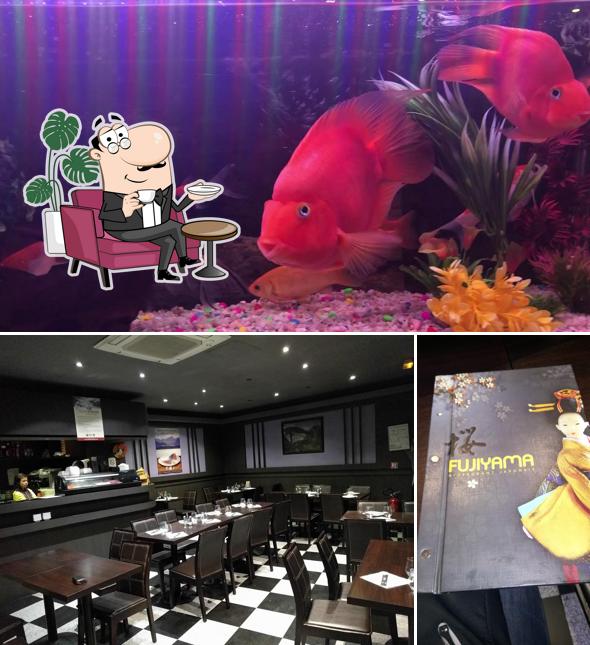 L’image de la intérieur et poisson de Fujiyama’s