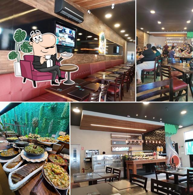 Mãe Terra culinária natural Cambuí