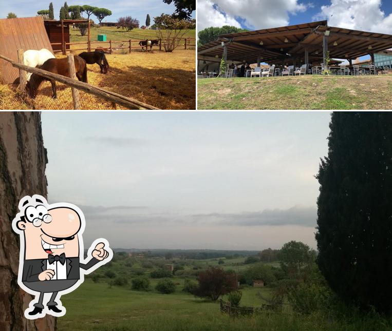 Puoi goderti l'aria fresca dal dehors di Ristorante Pizzeria Ape Regina