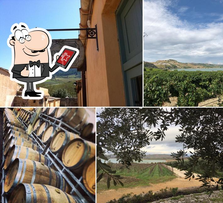 Guarda gli esterni di Planeta - Cantina dell'Ulmo