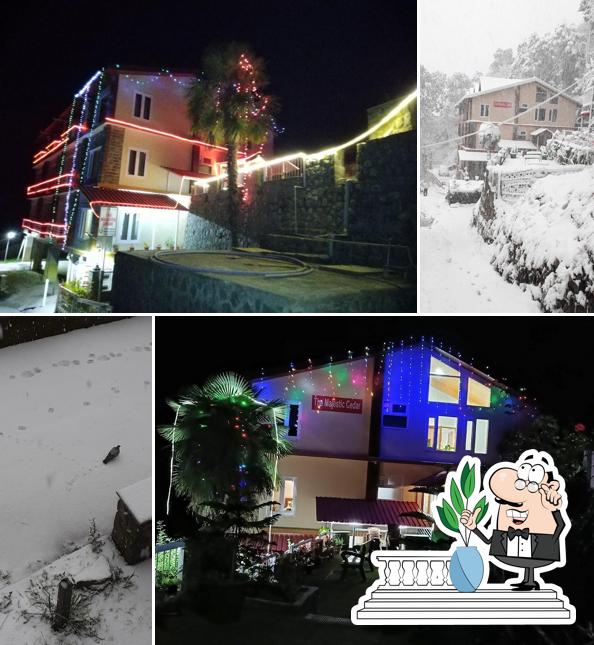 Check out how The Majestic Cedar Kasauli looks outside
