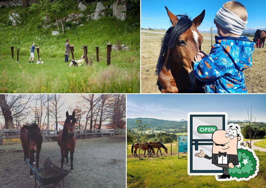 Goditi la vista dagli esterni di DS Camping