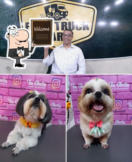 Food Truck do Hot Dog photo