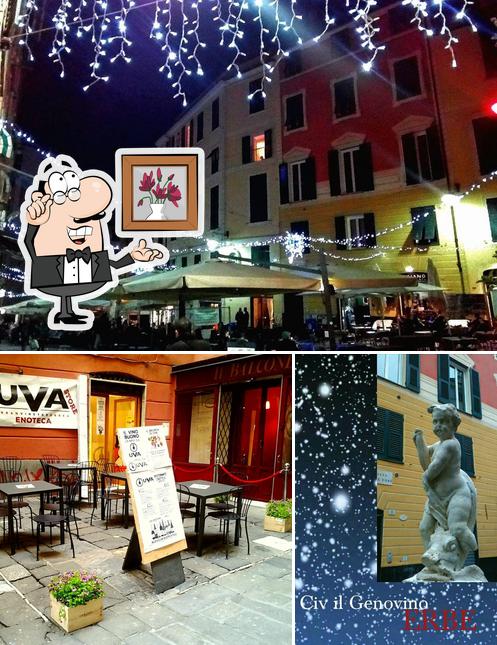 Questa è la immagine che raffigura la interni e esterno di Trattoria delle Erbe