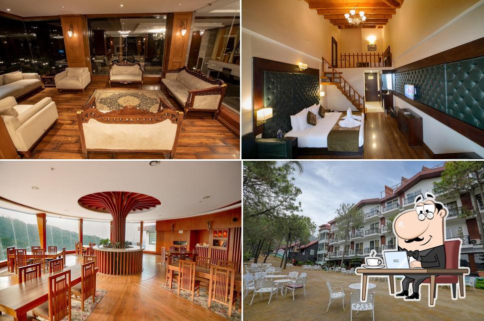 Deventure Shimla Hills