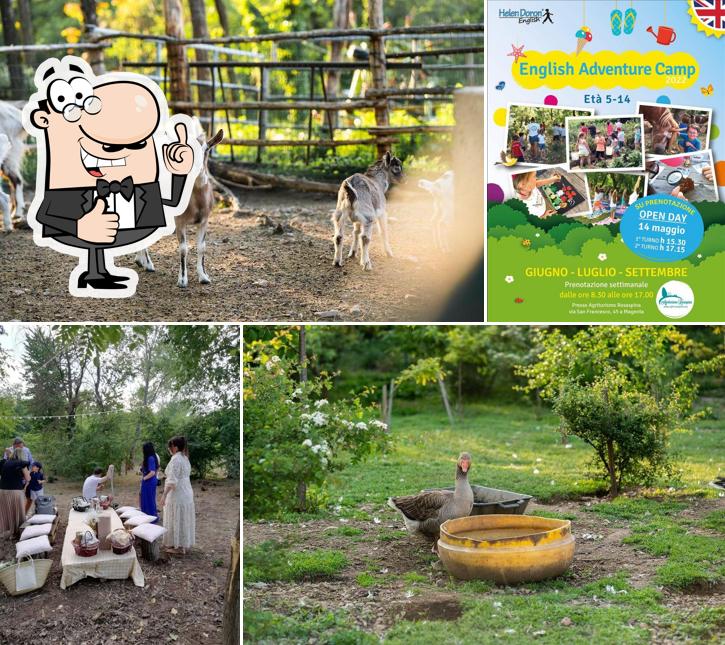 Agriturismo Rosaspina