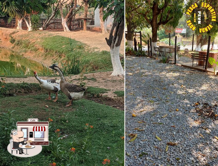 Veja imagens do exterior do Restaurante, Pizzaria, Pesque e Solte Brejão