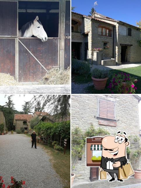 Gli esterni di Agriturismo La Ca' Nova