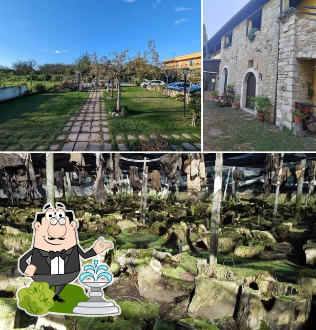 Guarda gli esterni di Agriturismo La Montagna