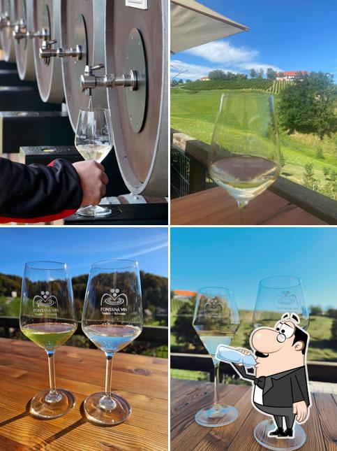 Fontana vin - Vodole