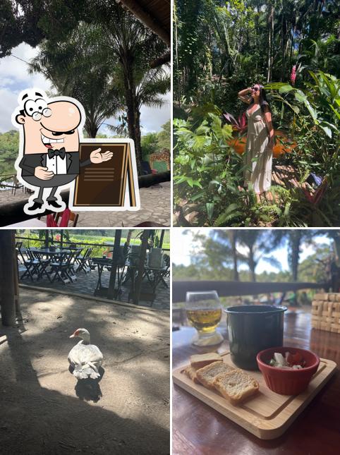 Jardim Secreto PB