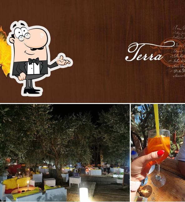 Gli interni di Oliveto