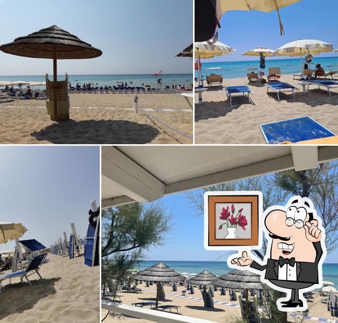 Dai un'occhiata agli interni di Bahia del Sol